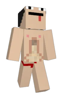 WinterDig255411 Minecraft avatar full body