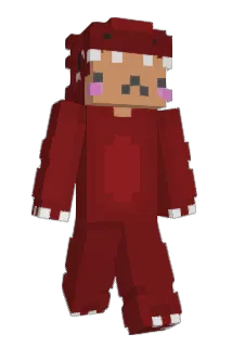WinterGamer Minecraft avatar full body