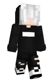 Winterfox0 Minecraft avatar full body