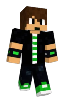 Winzi Minecraft avatar full body