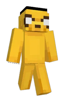 Wioll21 Minecraft avatar full body