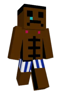 Wipinag Minecraft avatar full body