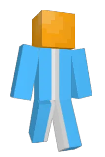 Wippee Minecraft avatar full body