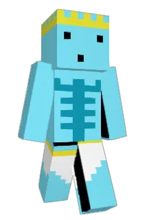 WiseHippo69 Minecraft avatar full body