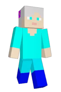 WiseOldGranny Minecraft avatar full body