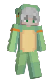 WiseOldTurtle Minecraft avatar full body
