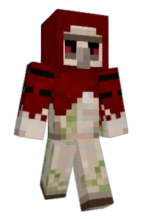 WiseR_5 Minecraft avatar full body