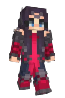 WiseTofuMan Minecraft avatar full body