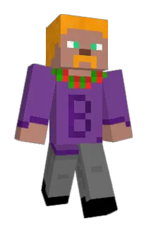 Wiselyasf Minecraft avatar full body