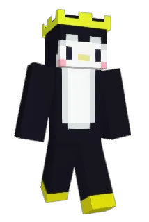 WishMC24 Minecraft avatar full body