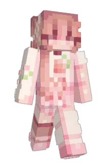 Witch_Hut Minecraft avatar full body