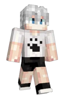 Witche007 Minecraft avatar full body