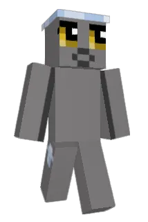 With_White Minecraft avatar full body