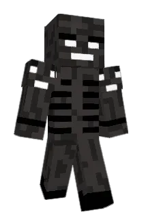 WitherBuster500 Minecraft avatar full body