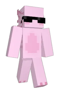 WitherCloak Minecraft avatar full body