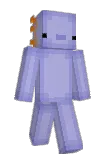 Wittingzz Minecraft avatar full body