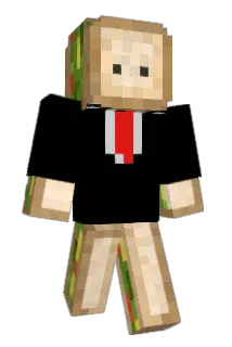 Witty5 Minecraft avatar full body