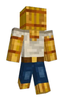 WittyForever Minecraft avatar full body