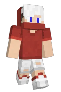WizGard Minecraft avatar full body