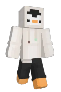 WizWikz Minecraft avatar full body