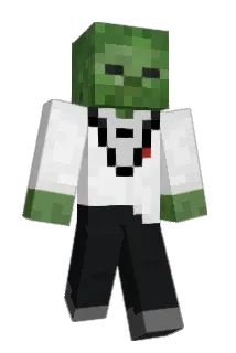 WizardCat890 Minecraft avatar full body