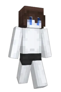 WizardCity101 Minecraft avatar full body