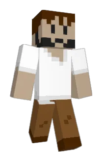 Wizardsleeves Minecraft avatar full body