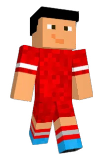 Wizzl14 Minecraft avatar full body