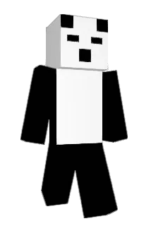 Wizzward95 Minecraft avatar full body