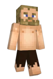 Wlaysewski Minecraft avatar full body