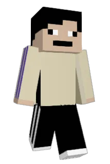 WlodarJr Minecraft avatar full body
