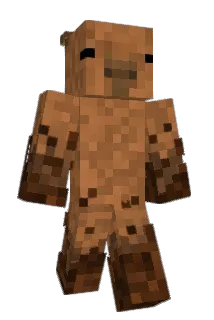 Wmans Minecraft avatar full body