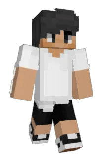 WnApple Minecraft avatar full body
