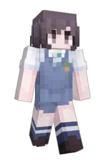 Wnai Minecraft avatar full body