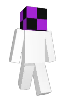Wnrice Minecraft avatar full body