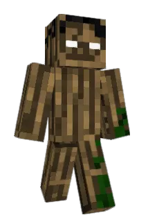 Woahsa Minecraft avatar full body
