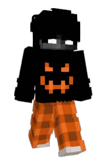 Woenselaer Minecraft avatar full body