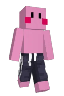 Wohkn Minecraft avatar full body