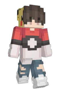 WojBody2115 Minecraft avatar full body