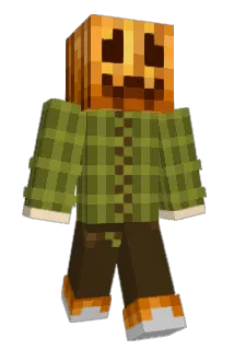 Wojtas1923 Minecraft avatar full body