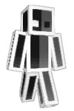 WokEnder Minecraft avatar full body