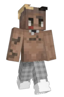 WolFlyX Minecraft avatar full body