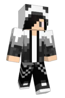WolfDry Minecraft avatar full body
