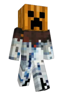 Wolfi2302 Minecraft avatar full body