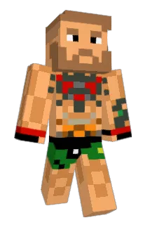 Wolfplay10 Minecraft avatar full body