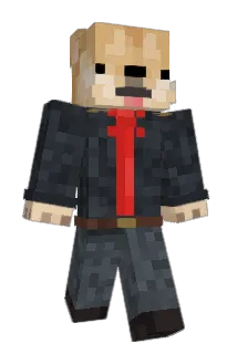 Wolkenfang Minecraft avatar full body