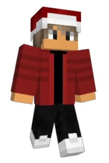 Wollegras Minecraft avatar full body