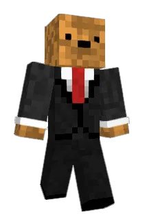 Wolleon Minecraft avatar full body