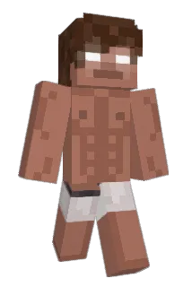 Wolvok Minecraft avatar full body