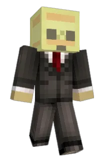 Wombat_90 Minecraft avatar full body
